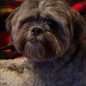 Meet your Posher, Connie